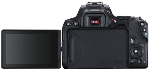Canon EOS 250D — самая лёгкая в мире «зеркалка» с поворотным экраном