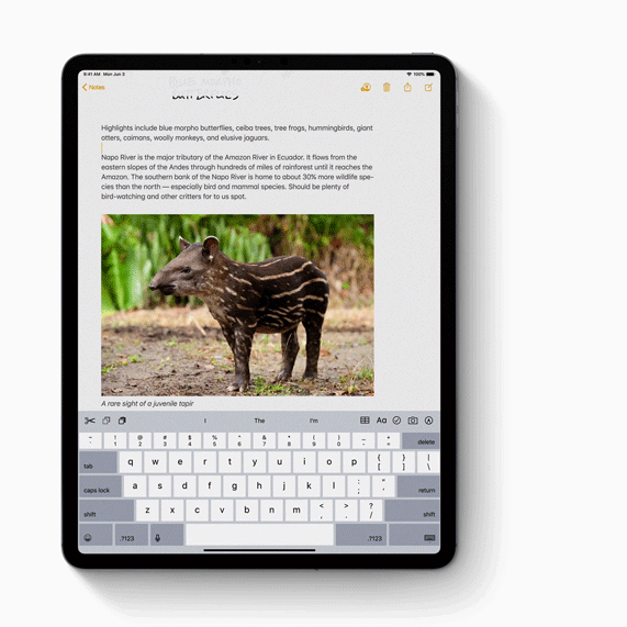 iPadOS – новая ОС для планшетов Apple