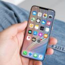 Apple может выпустить компактный смартфон iPhone XE