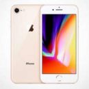 Названа примерна дата выхода нового бюджетного iPhone