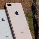Apple готовит к выпуску бюджетный смартфон