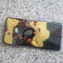 Galaxy S10 5G загорелся и уничтожил сам себя Galaxy S10 5G загорелся и уничтожил сам себя