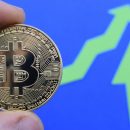 Курс Bitcoin вырос до $10.831,5